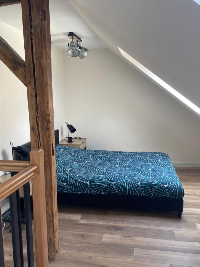 Apartamento Duplex Hammam Au Pied De La Cathedrale Avec Vue Reims Exterior foto